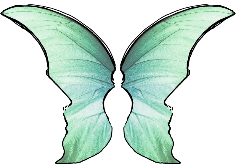 papillon_logo